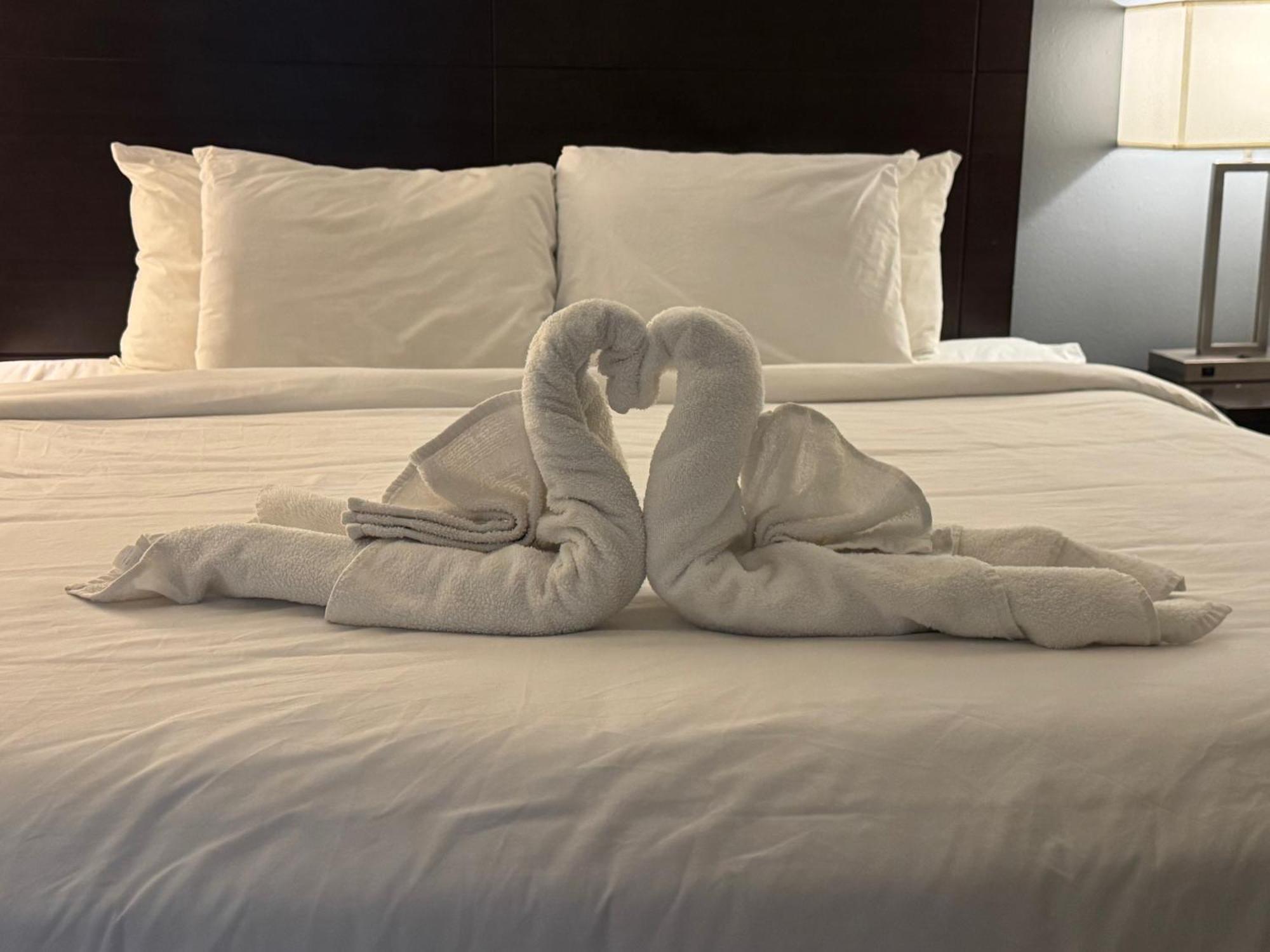 Clarion Inn & Suites Dothan South Esterno foto